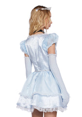 Glass Slipper Dreams Costume
