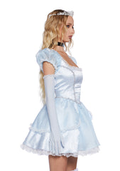 Glass Slipper Dreams Costume