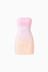 Lumira Sequin Lace Mini Dress in Pink Ombre