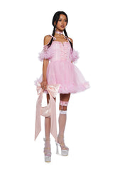 Winter Rose Mini Dress - Pink