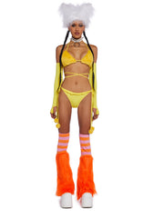 Festival Fowl Costume