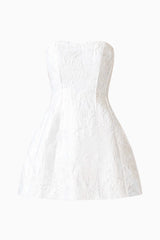 Floralie Strapless Mini Dress in Silver