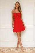 Coquette Aesthetic Strapless Mini Dress Red