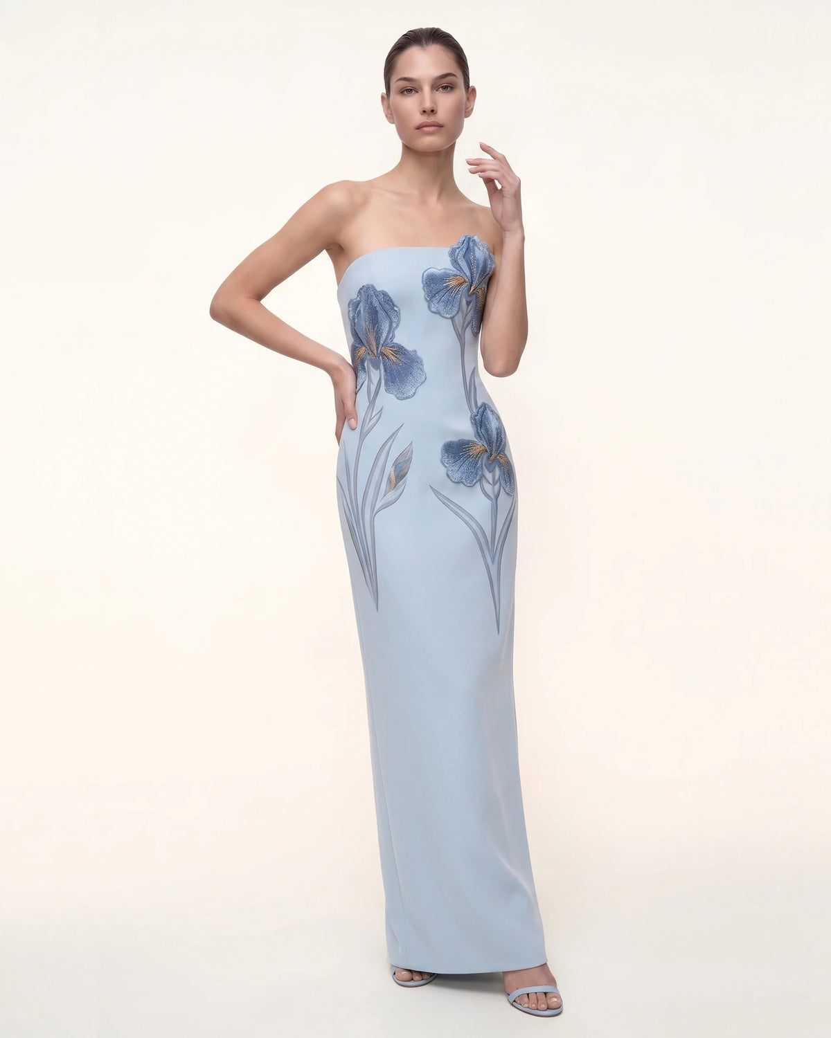 Iris Embroidered Strapless Maxi Dress - Light Blue