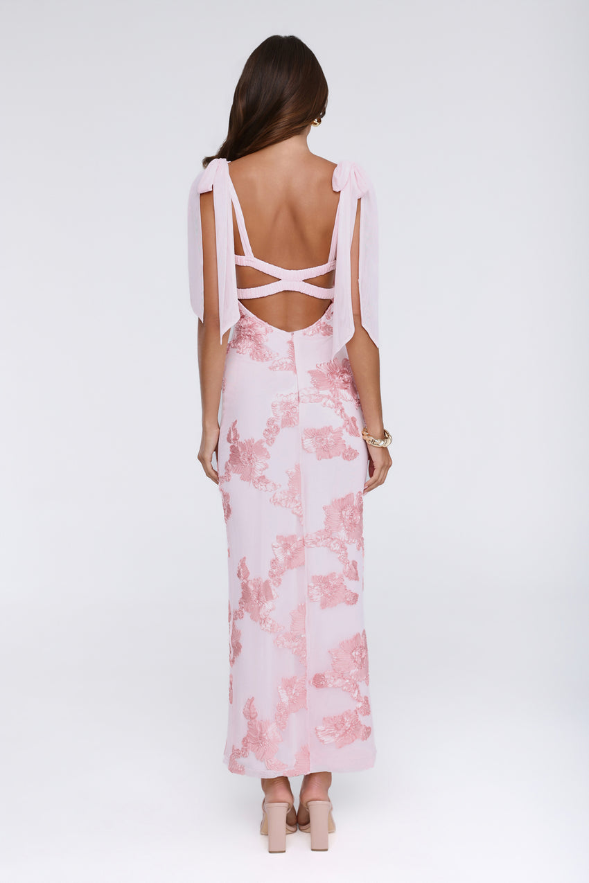 Dear Me From Me Mesh Maxi Dress Pink