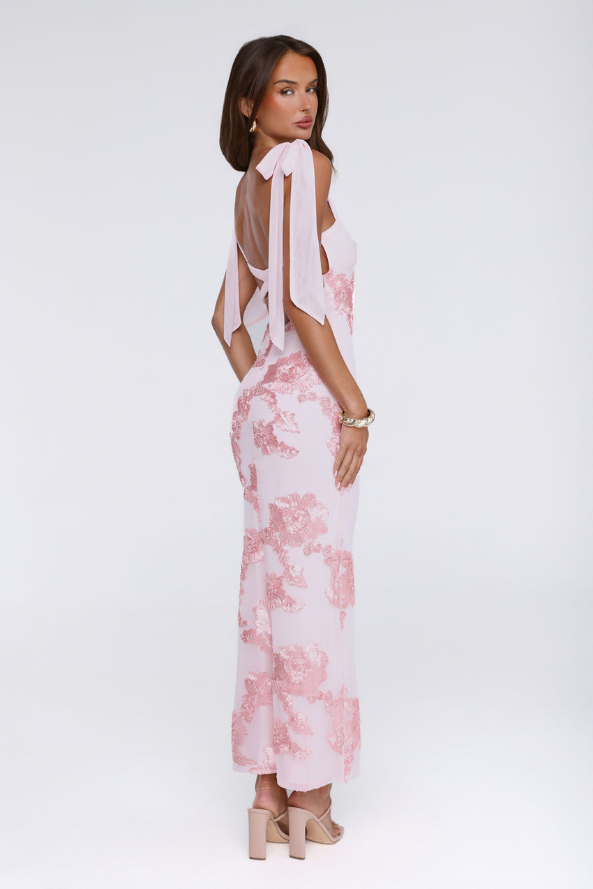 Dear Me From Me Mesh Maxi Dress Pink