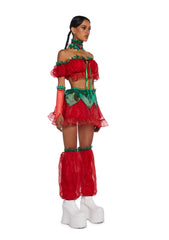 Sweet Treat Costume
