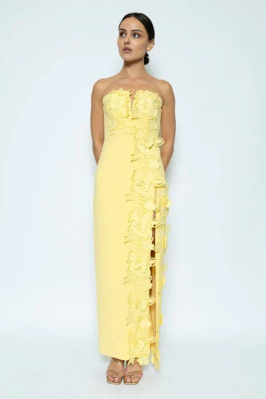Éloise Floral Appliqué Column Maxi Dress