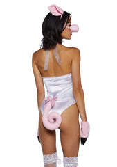 Pretty Piggy Accessories Kit