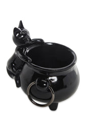 Purrfect Potion Candy Dish