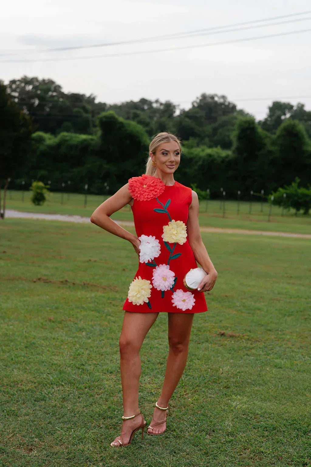 Floral Embroidered Mini Dress-Red